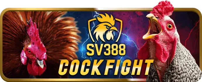 Bảo vệ dữ liệu người dùng và quyền riêng tư tại az888 casino